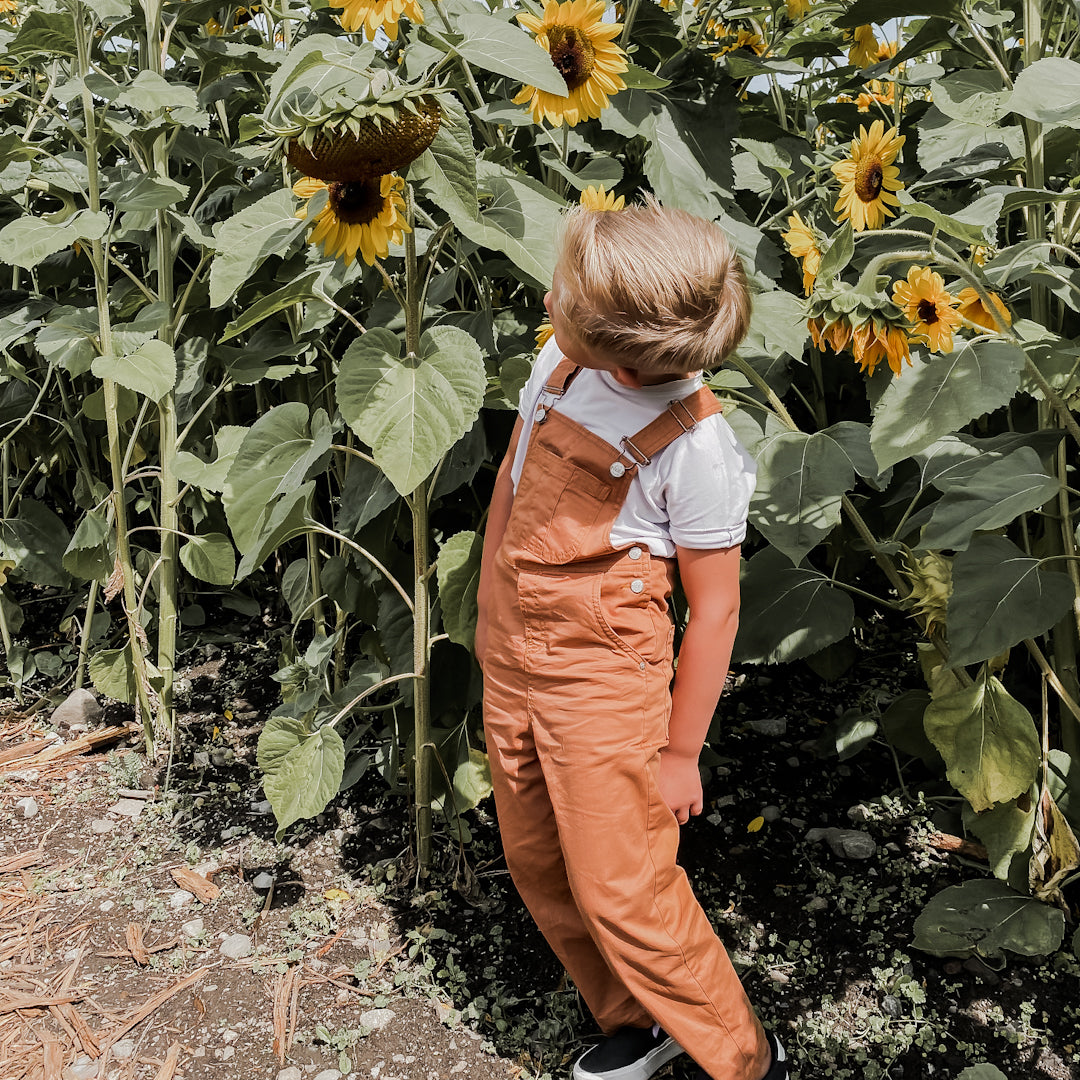 Little boy looking up at a large sunflower wearing the denim overalls in terracotta over the grow with me shirt in taupe.